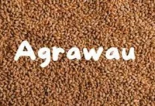 Agrawau