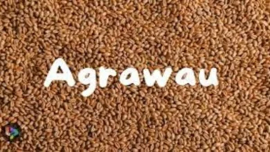 Agrawau