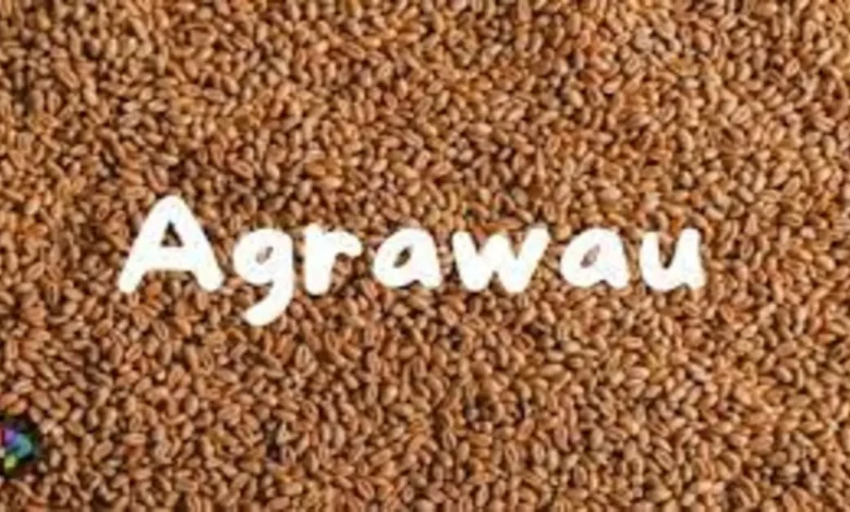 Agrawau