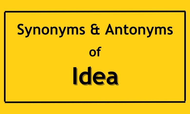 Idea Synonym